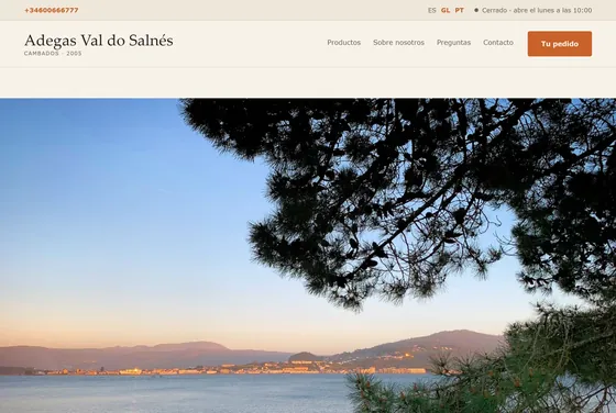 Portada de la web de Adegas Val do Salnés